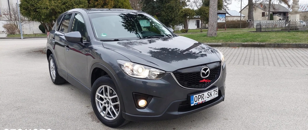 Mazda CX-5 cena 49999 przebieg: 219500, rok produkcji 2014 z Rudnik nad Sanem małe 254